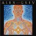 Alex Grey 2009 Calendar cover