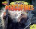 Prickly Porcupines cover