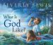What is God Like? cover