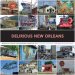 Delirious New Orleans : Manifesto for an Extraordinary American City cover