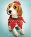  Indognito: A Book of Canines in Costume