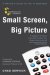 Small Screen, Big Picture : A Writer's Guide to the TV Business cover