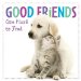 Good Friends Are Hard to Find cover