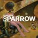 Sparrow 8 cover