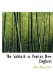 Sabbath in Puritan New England cover