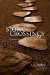 Stone Crossings : Finding Grace in Hard and Hidden Places cover