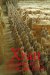 Xian, Shaanxi and The Terracotta Army cover