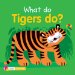 What Do Tigers Do? cover