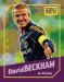 David Beckham cover