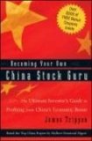 Becoming Your Own China Stock Guru : The Ultimate Investor's Guide to Profiting from China's Economic Boom [Click for larger image]