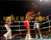 Rumble in the Jungle : Ali and Foreman cover