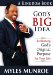 God's Big Idea : Reclaiming God''s Original Purpose for Your Life cover