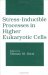  Stress-Inducible Processes in Higher Eukaryotic Cells