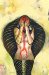 Shekhar Kapur's Snake Woman : Curse of the 68 cover