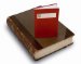 The Little Big Red Book : A Celebration of 75 Years of the Victoria County History at the Institute of Historical Research cover