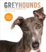 Greyhounds cover