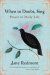 When in Doubt, Sing : Prayer in Daily Life cover