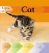 Cat cover