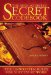 High Achiever's Secret Codebook : The Unwritten Rules for Success at Work cover