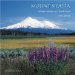 Mount Shasta 2009 Calendar : Where Heaven and Earth Meet cover