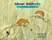 About Rodents : A Guide for Children cover