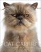 Cat Capers : Catitude for Cat Lovers cover