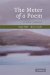 Meter in Poetry : A New Theory cover