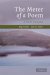 Meter in Poetry : A New Theory cover