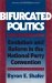 Bifurcated Politics : Evolution and Reform in the National Party Connection cover