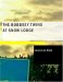 The Bobbsey Twins at Snow Lodge cover