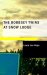 The Bobbsey Twins at Snow Lodge cover