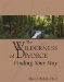 The Wilderness of Divorce : Finding Your Way cover
