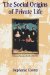 The Social Origins of Private Life : A History of American Families, 1600-1900 cover