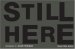 Still Here : Stories After Katrina cover