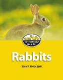 Rabbits [Click for larger image]