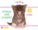 Kittens and Puppies : Counting cover