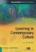 Learning in Contemporary Culture cover