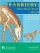 Farriery : The Whole Horse Concept the Enigmas of Hoof Balance Made Clear cover