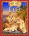 Leo, A Baby Lion's Story cover