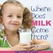 Where Does Milk Come From? : The Story of Milk cover