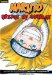 Naruto Chapterbook 5 cover