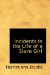 Incidents in the Life of a Slave Girl cover