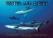 Water and Light 2009 Calendar cover