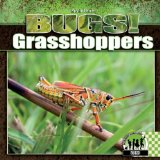 Grasshoppers [Click for larger image]