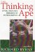 The Thinking Ape: Evolutionary Origins of Intelligence