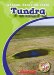 Tundra cover