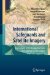 International Safeguards and Satellite Imagery : Key Features of the Nuclear Fuel Cycle and Computer-based Analysis cover