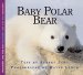 Baby Polar Bear cover