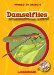 Damselflies cover