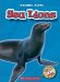 Sea Lions cover